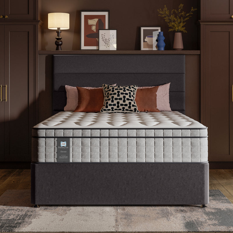 Sealy Chadwick Standard divan set